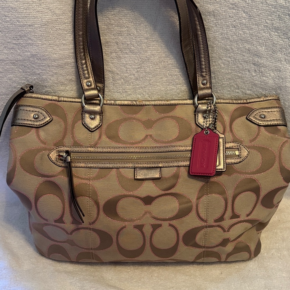 DAISY OUTLINE SIGNATURE METALLIC EMMA TOTE (COACH F23938)